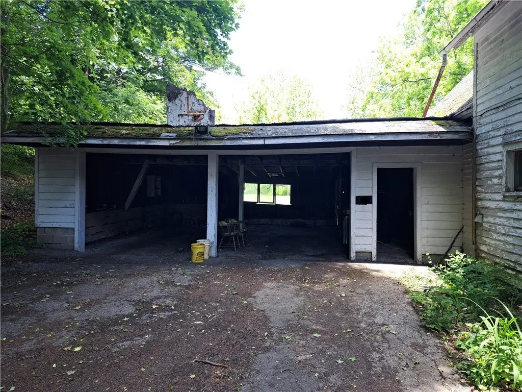 Picture 5