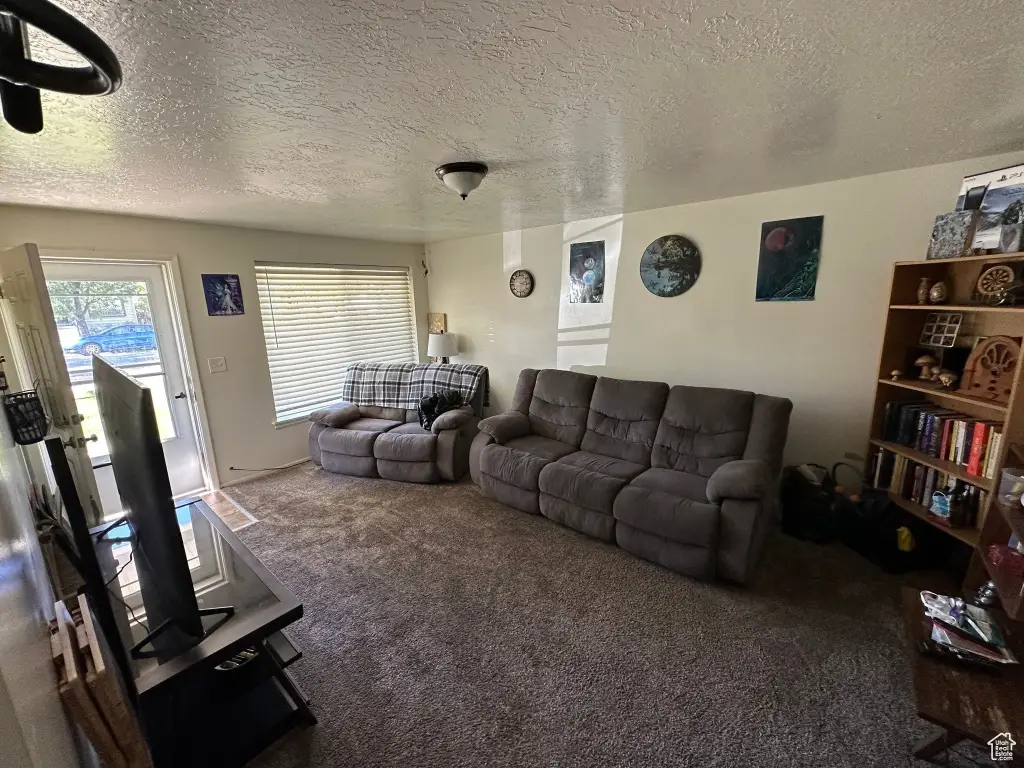 Picture 14