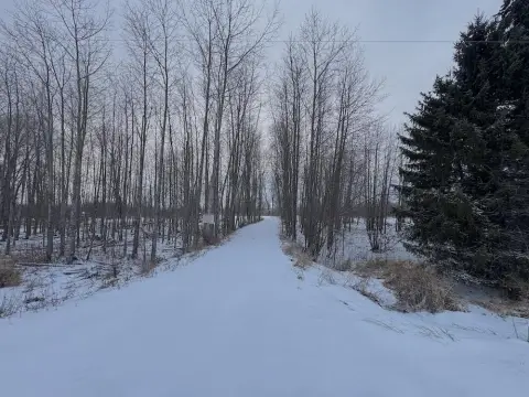 Buildable Lot Near Tawas Bay