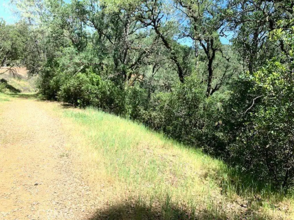 Picture 4