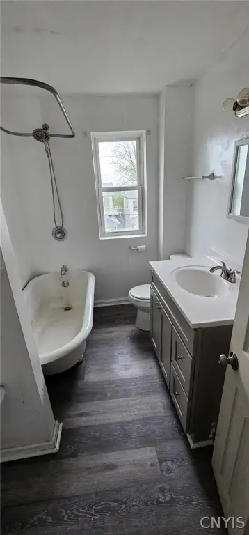 Picture 17