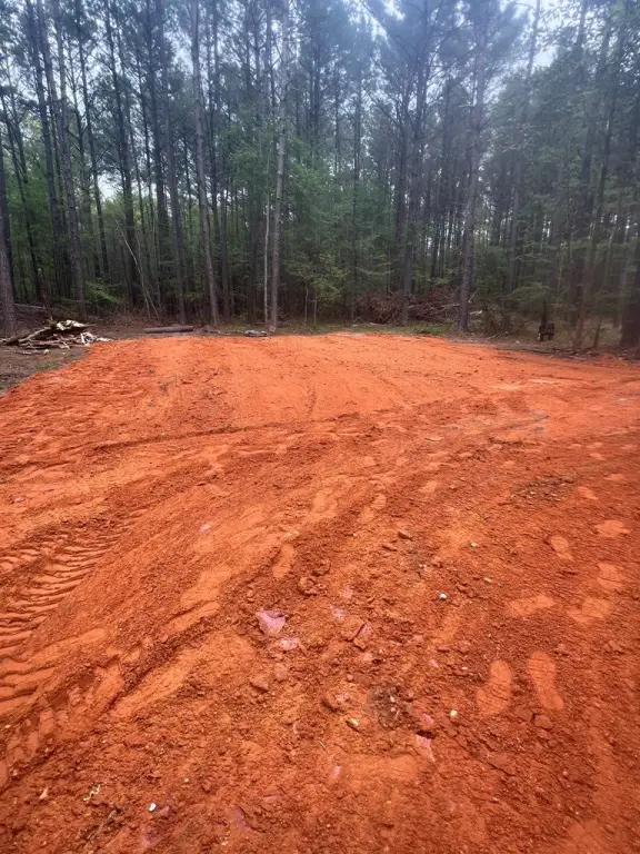 Picture 2