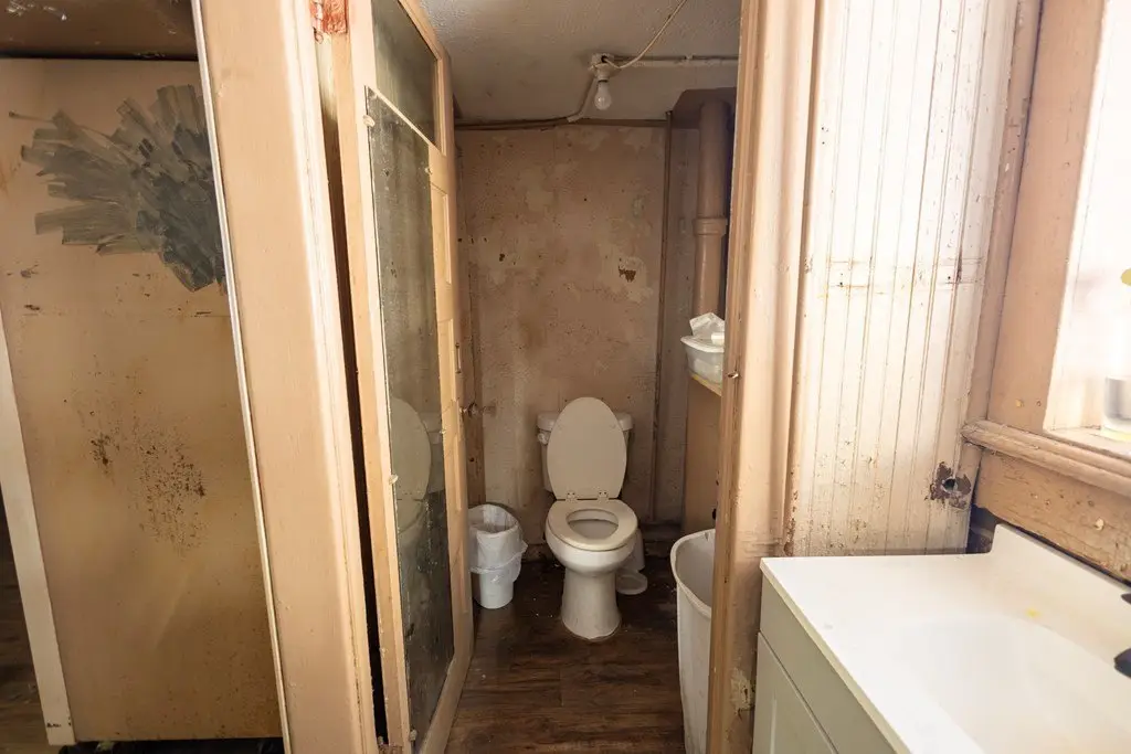 Picture 7
