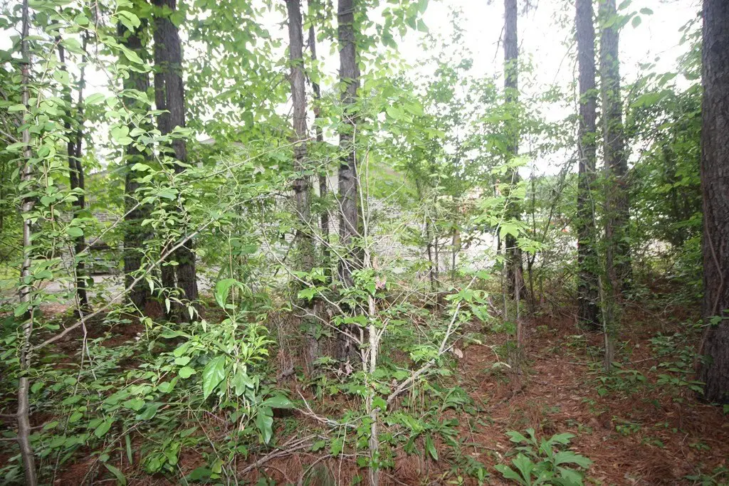 Picture 4