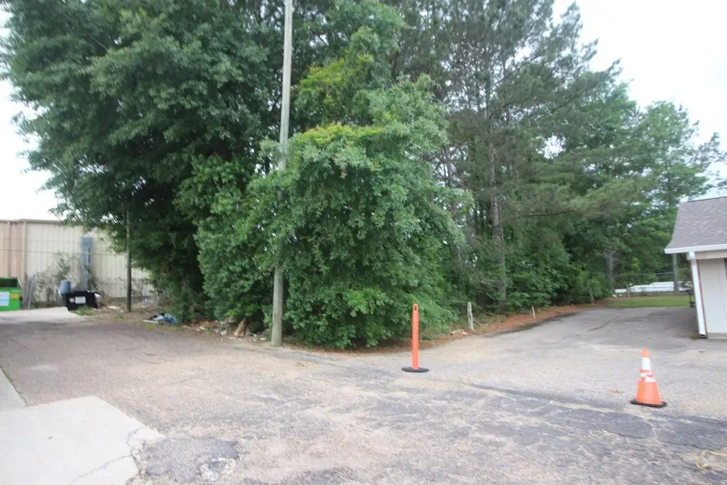 Picture 8