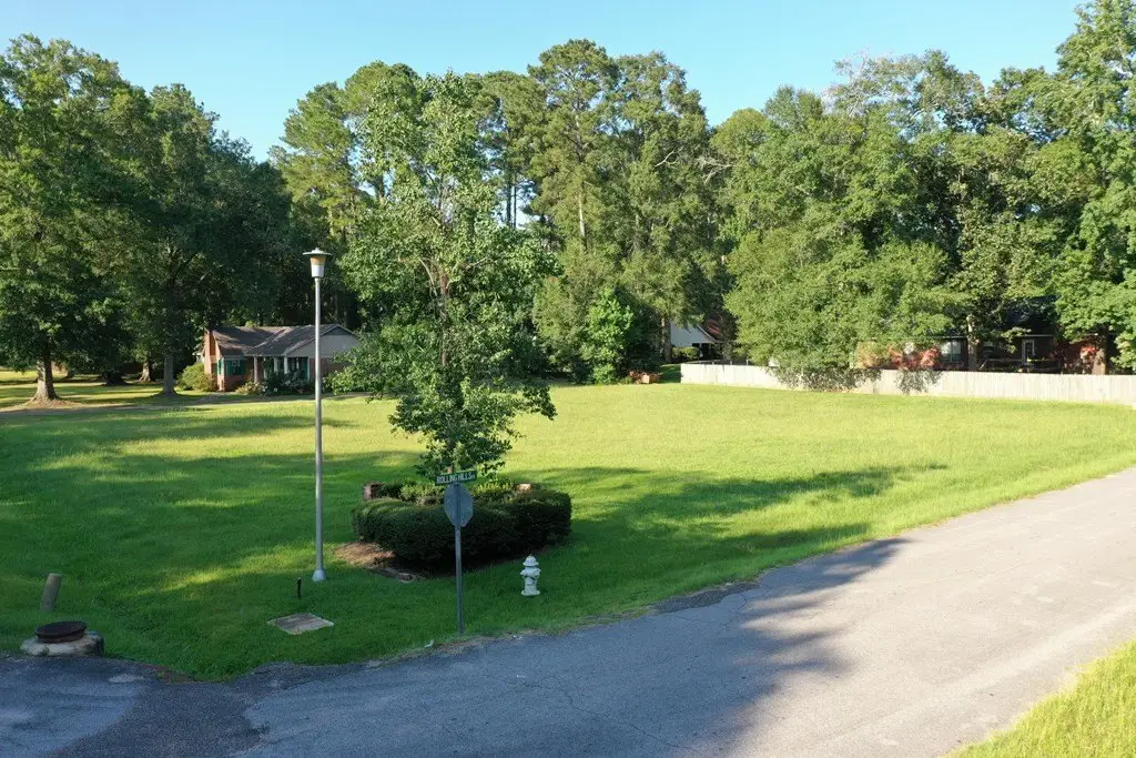 Picture 5