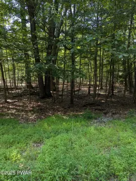 Land in Paupackan Lake Community