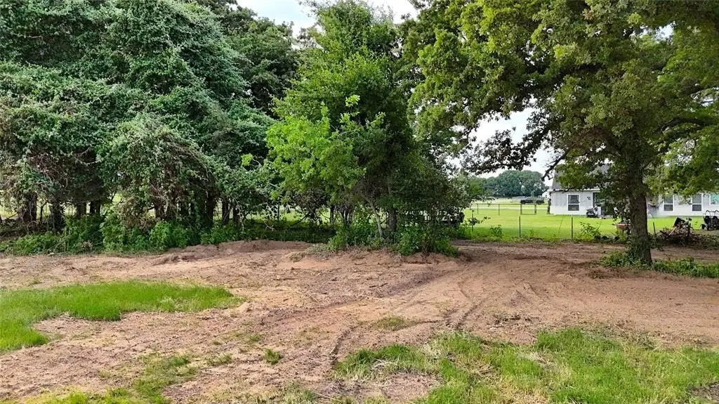Picture 21