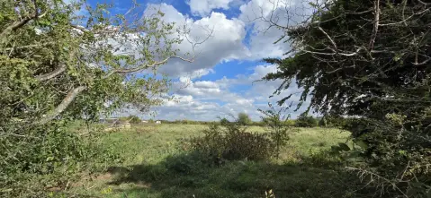 Agricultural Land with Perimeter Fencing