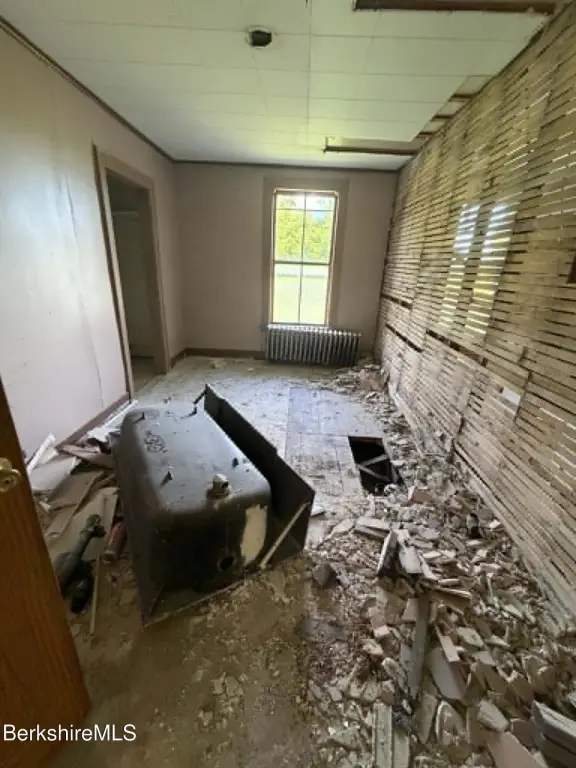 Picture 5