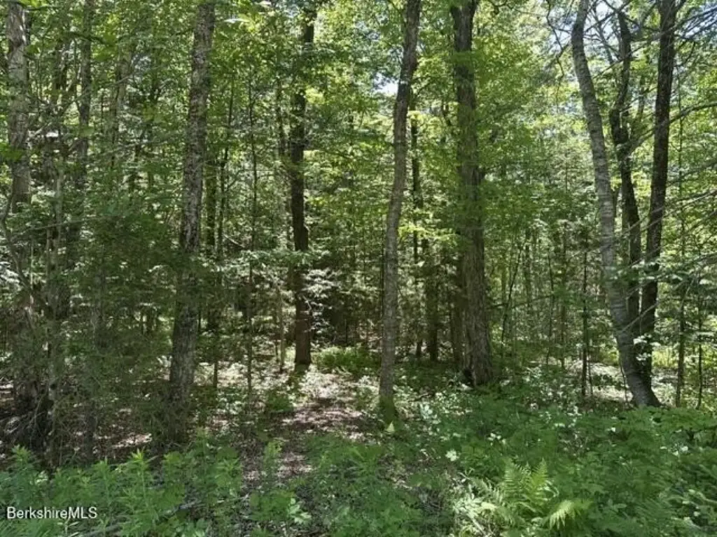 Picture 10