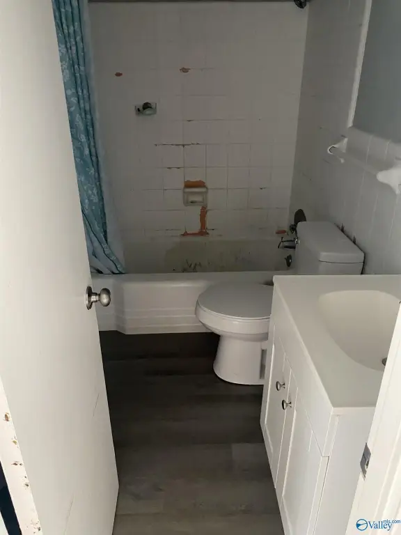 Picture 5