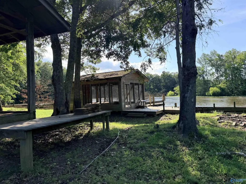 Picture 5
