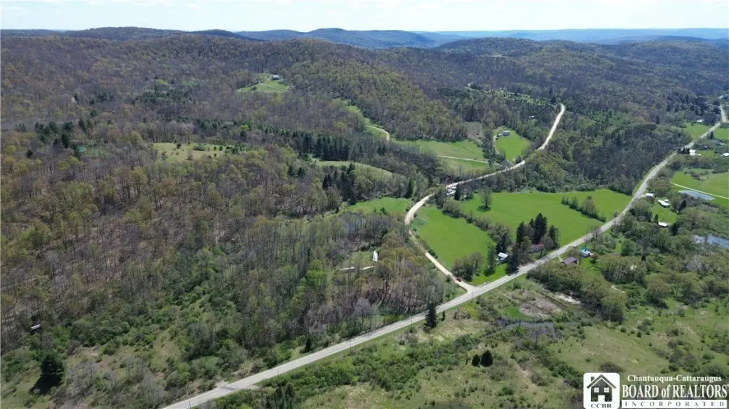 Picture 8