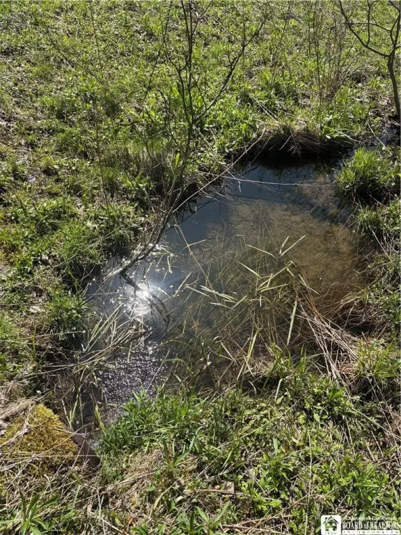 Picture 47