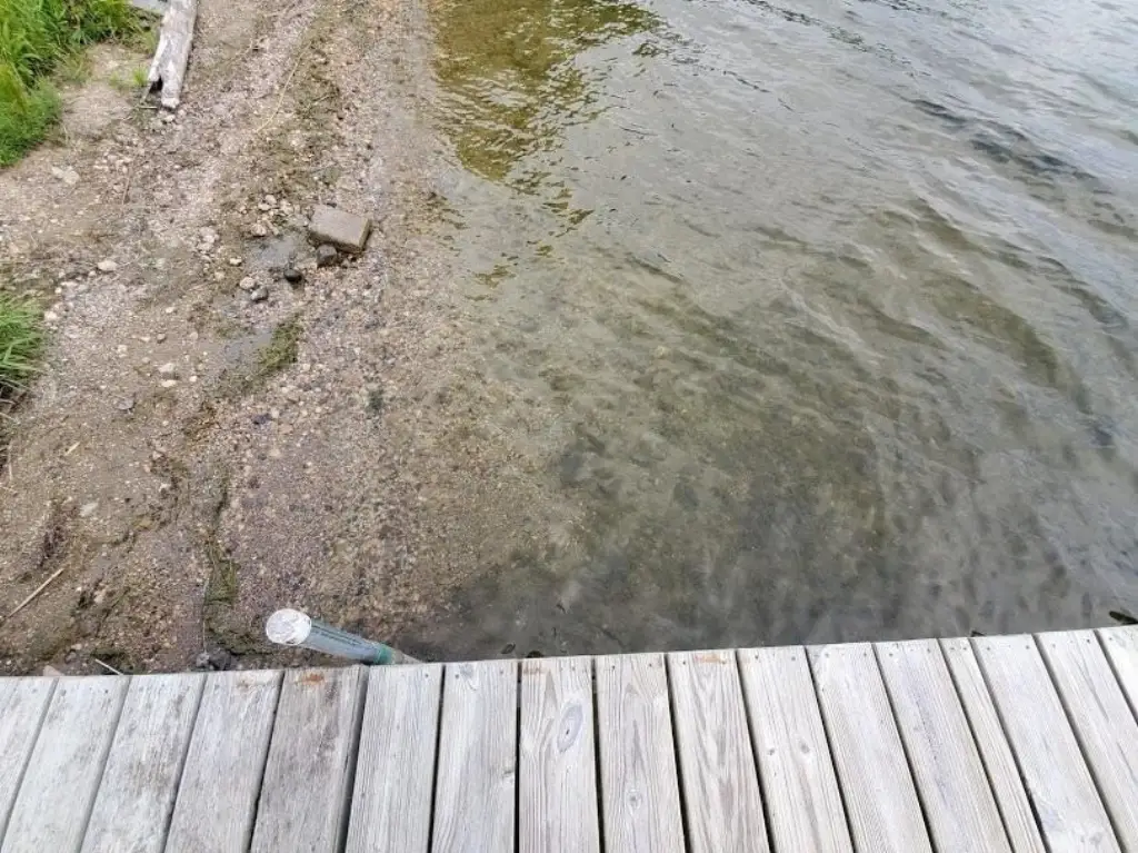 Picture 11
