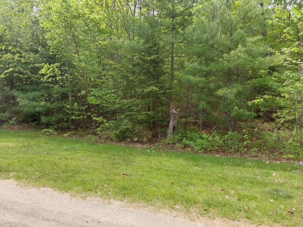 Picture 2