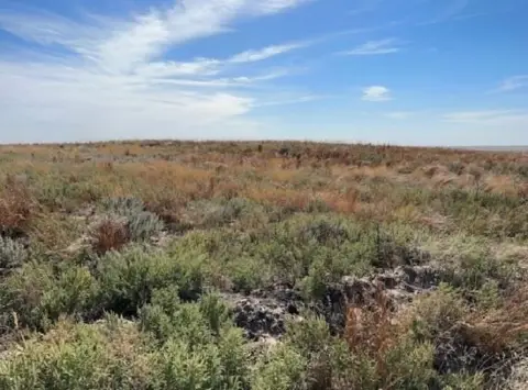 80 Acres of Oklahoma Land