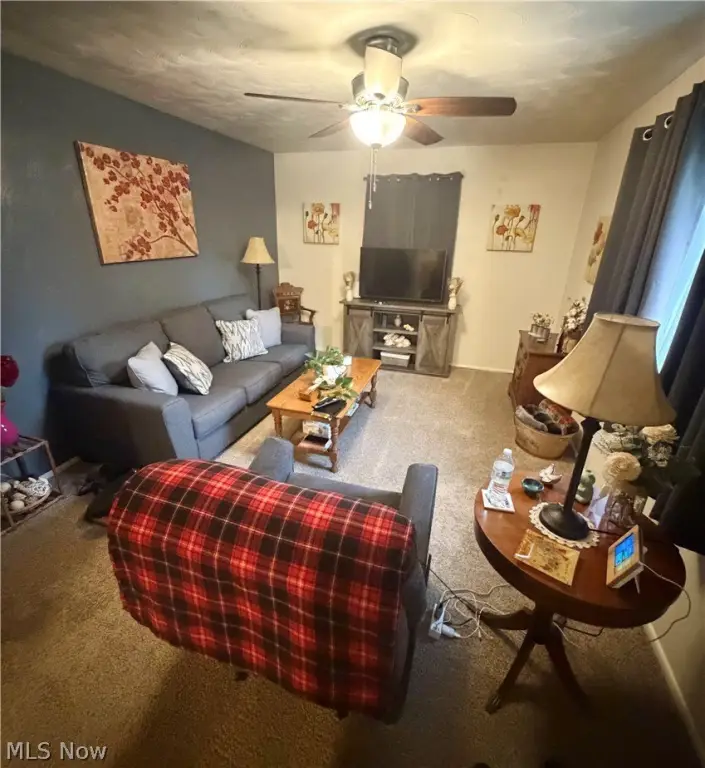 Picture 27