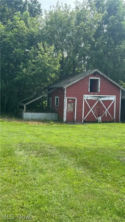 Picture 6