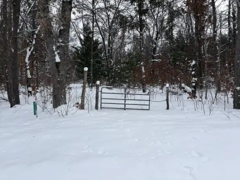 Wooded Land Parcel in Idlewild