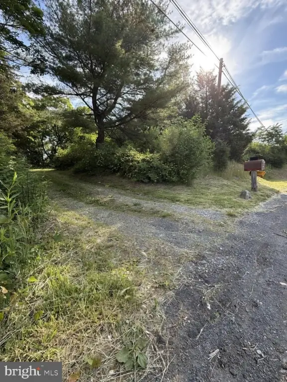Picture 5