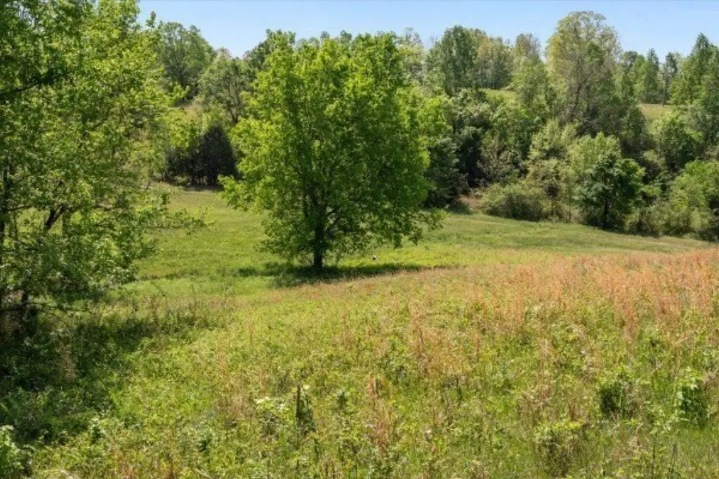 Picture 19