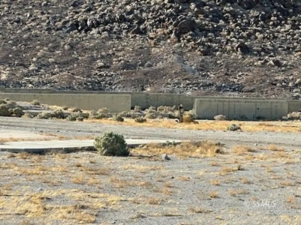 Picture 12