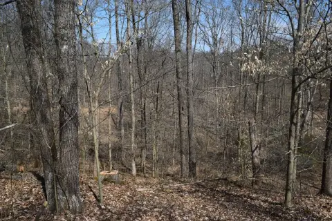 Vacant Land Near English, IN