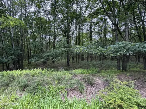Residential Land in Eagle Rock