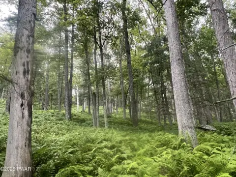 Land with Existing Infrastructure