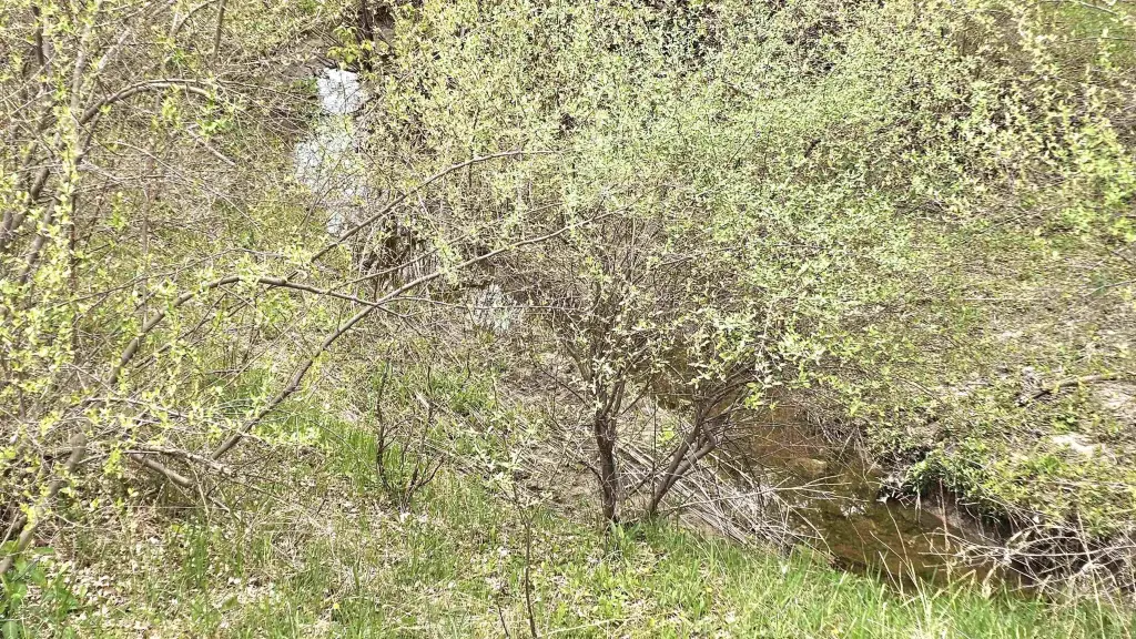 Picture 16