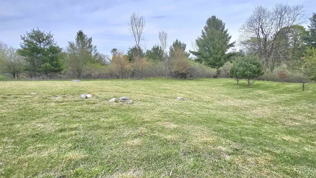 Picture 11