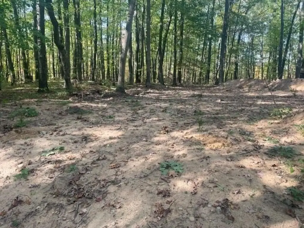 Picture 4