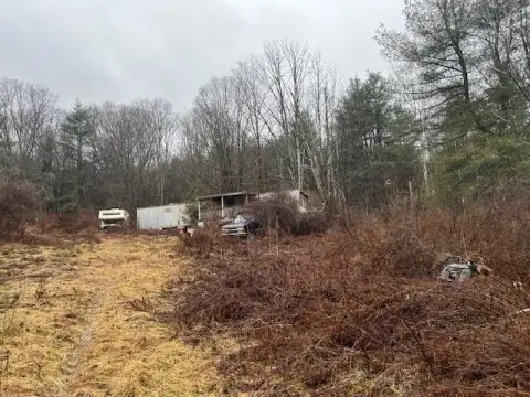 31.7 Acres of Hunting Land