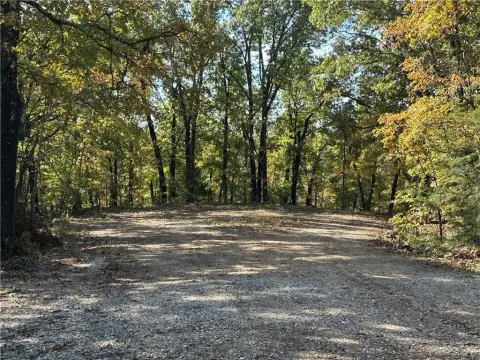 Bella Vista Land Opportunity