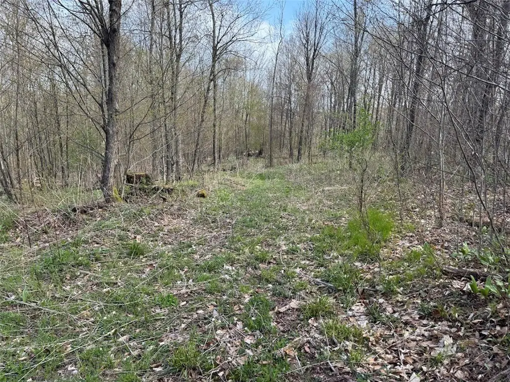 Picture 12