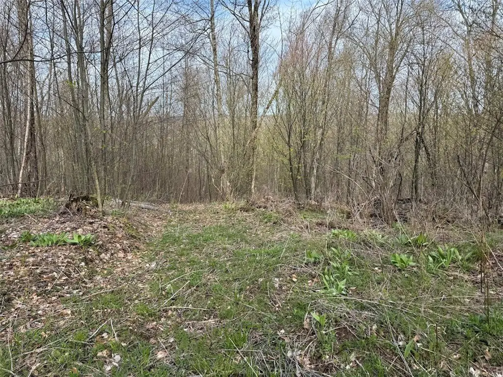 Picture 13
