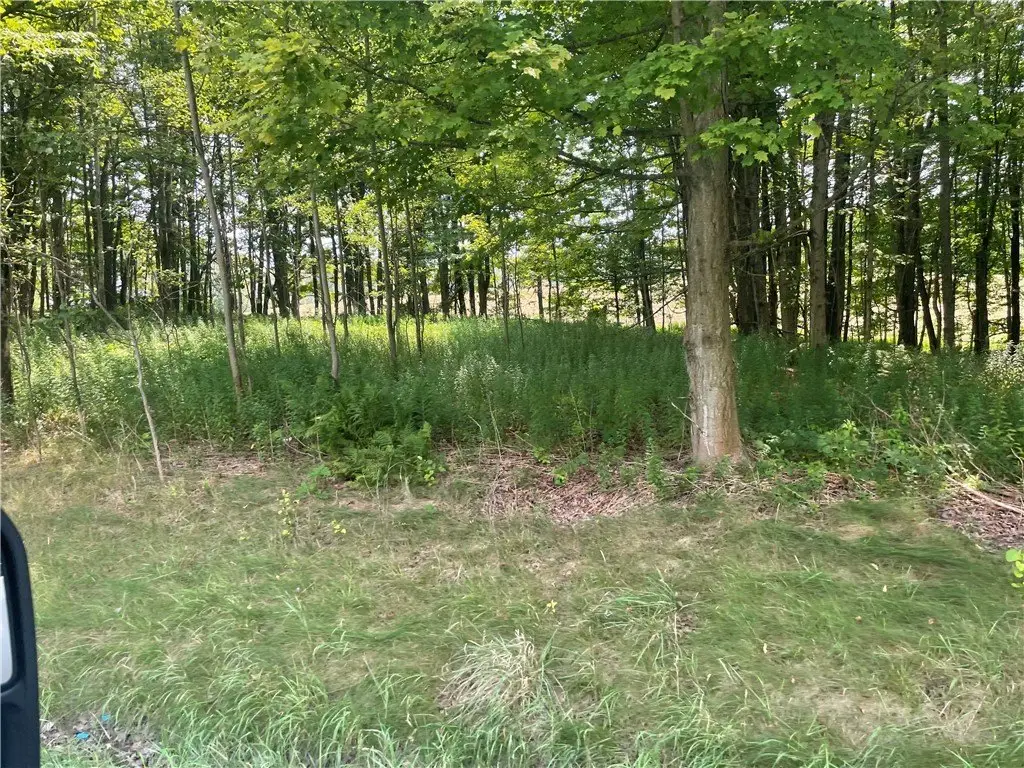Picture 2