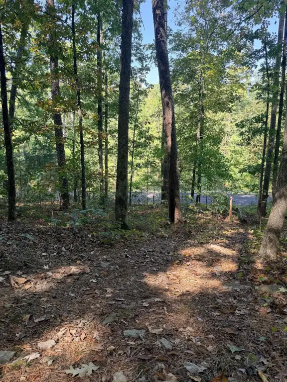 Picture 21