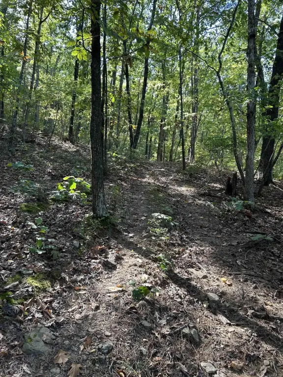 Picture 19