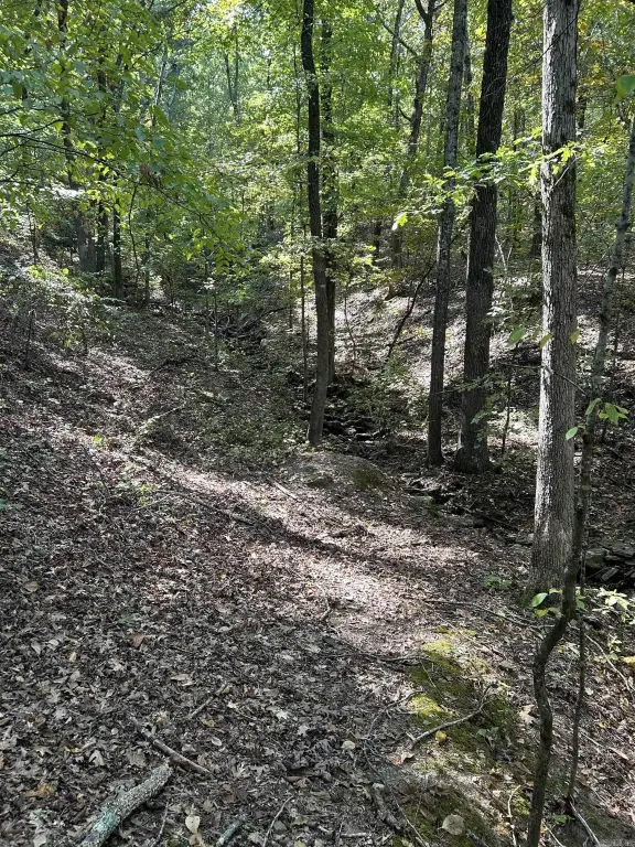 Picture 15
