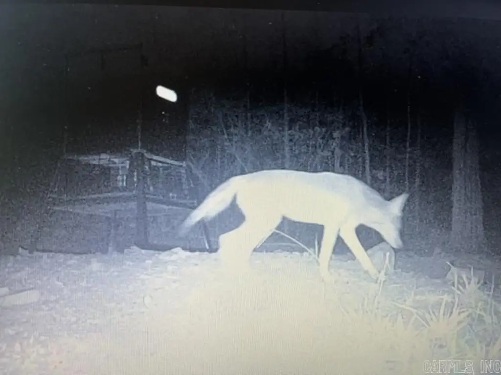 Picture 11