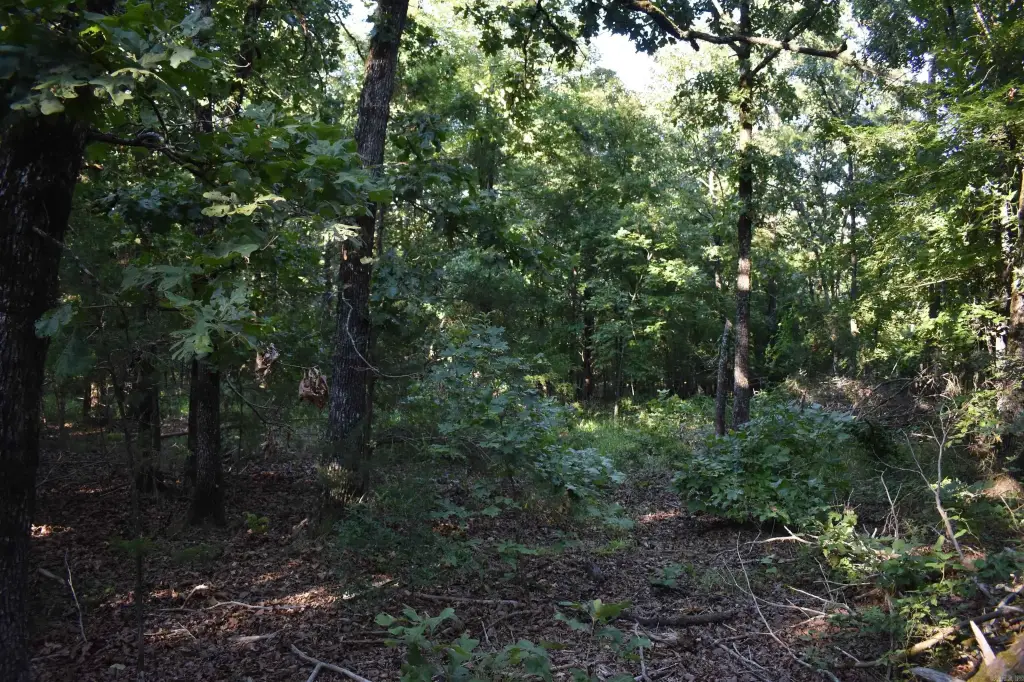 Picture 47