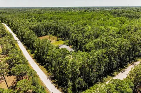 5-Acre Homesite in Geneva, FL