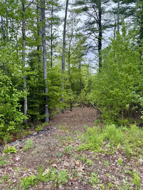 Picture 6