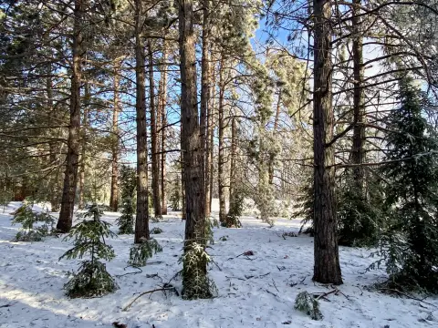 Land Near Recreational Opportunities