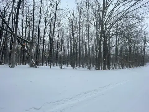 Lakes of the North Double Lot