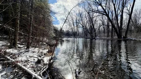 97+ Acres on Thunder Bay River