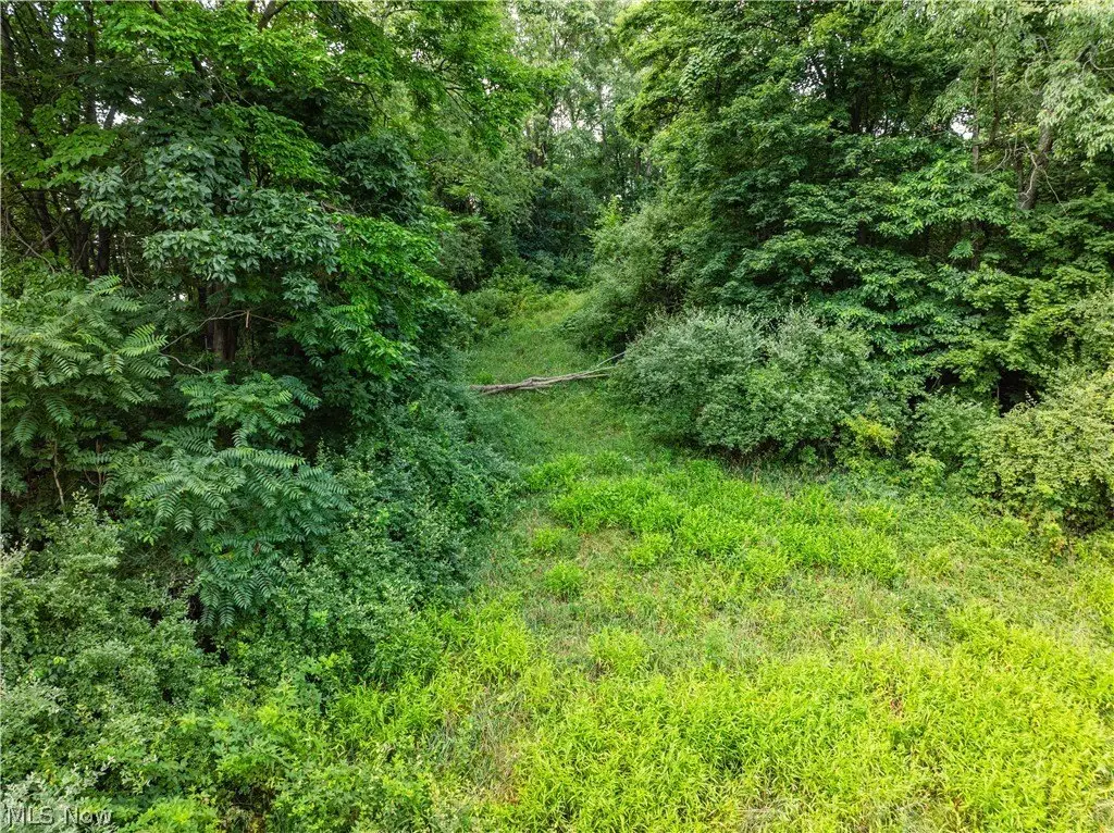 Picture 46